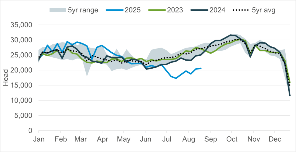 Irish prime cattle kill, weekly